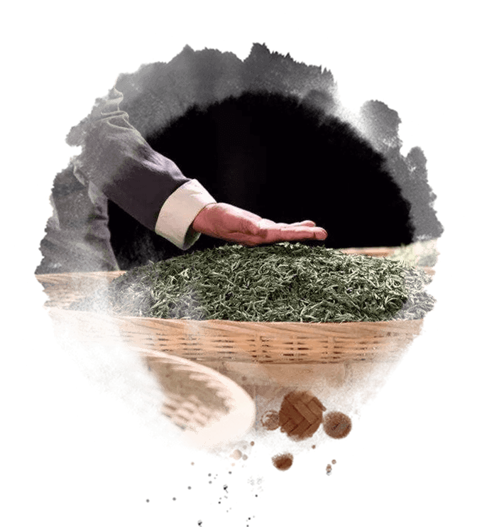 有机种植